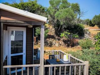 Mobil home climatisé, animaux acceptés - 4 pers. - API-1-52-3001 - 2