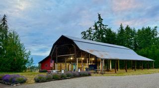 ElkLandia The Olympic Peninsula's Premier Luxury Estate for Gatherings - 7