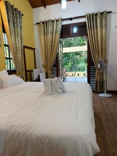 The Ceylon Nest - 3