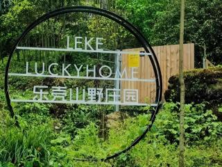 Dujiangyan Lucky Wild Mountain Forest Luxury Homestay - 9
