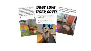 TIGER COVE - Entire Home, Fenced Yard, Central DSM - 4