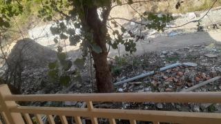 The Green Feather Residence- Relax and destress with birds - 4