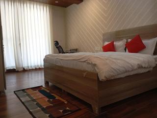 The Green Feather Residence- Relax and destress with birds - 1