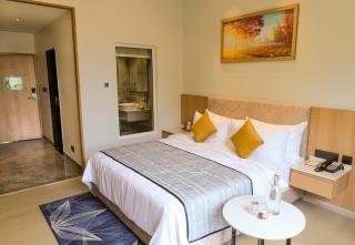 Triumph Regency - 4