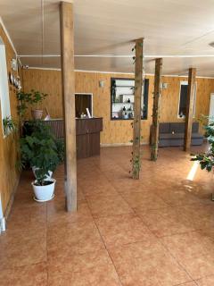Green House - 2