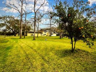 Beautiful Farmhouse - 2