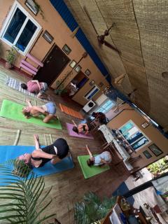 Wildflow jungle yoga safari and homestay - 1