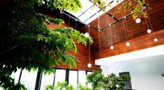Green Oasis Hotel - 8