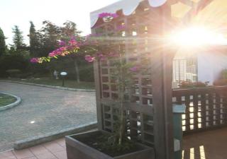 B&B Villa Maya - Térmoli - 6