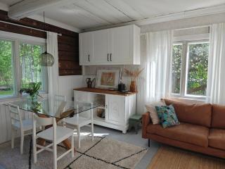 Villa Hattara - a cottage on the shore of a rapid - 1