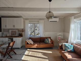 Villa Hattara - a cottage on the shore of a rapid - 4