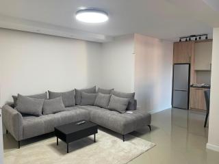 Apartment Viktor Belgrade Airport - 0
