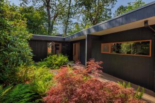 The Meadowlark - Midcentury Gem Minutes from Campus home - 6