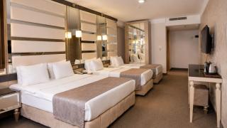 Elite World Nest Van - 5