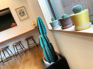 Cactus Inn / Vacation STAY 51552 - 1