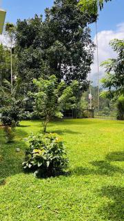 Exclusive Cottage- Meppadi, Kalpetta, Wayanad - 7