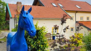 Häuschen blaues Pferd - 7