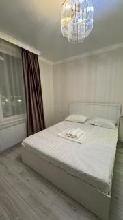 Baqyt Towers, st Tolebi, Barys Arena - 5