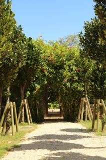 Yoga Retreat Village, kSaNa - Vacation STAY 95942v - 2