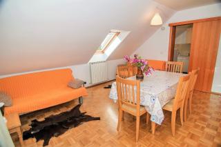 Apartments and Rooms Tajcr - Bovec - 1