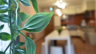 Marugamemachi Building 3rd floor - Vacation STAY 51067v - 3