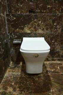 Hotel Roshan - 5