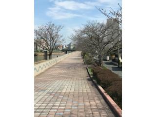Family House - Vacation STAY 53006v - 7