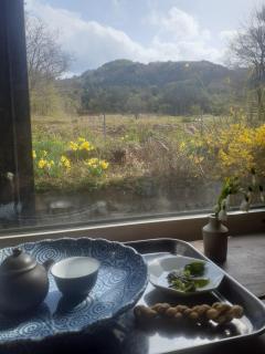 Tanehachi Farm Guesthouse - Vacation STAY 29709v - 1