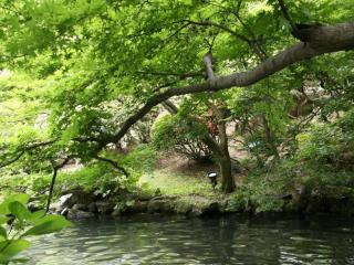 Suikoyen Hotel - Vacation STAY 53761v - 2