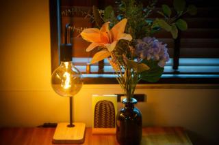 Hyuga Surf Camp 108 - Vacation STAY 87132v - 3
