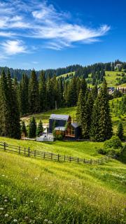 Savanna Mountain forest resort - 0