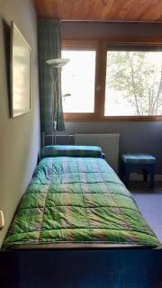 L'Ariondaz - Appartement au centre du village, proche des pistes, avec parking - 3