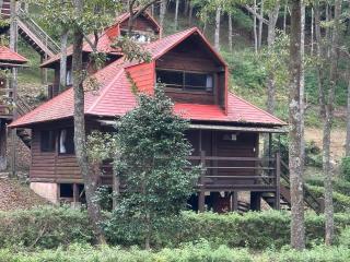 Sky Lodge Gingamura - Vacation STAY 84333v - 9
