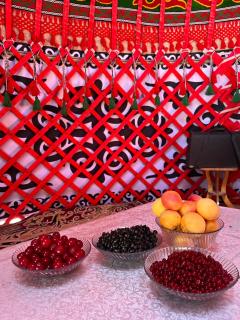 Atay Yurt - 4