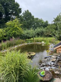 Ferienhaus Warf mit Wintergarten Kamin und Teich - 8