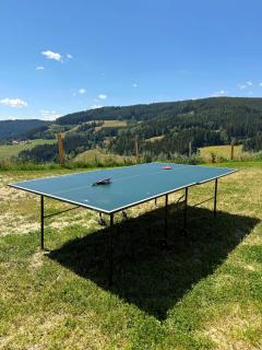 Bergpanorama-Hütte in Alleinlage - 1
