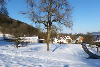 Bauernhof Mayer - 5