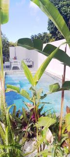 Villa avec piscine Entre-Deux - 6