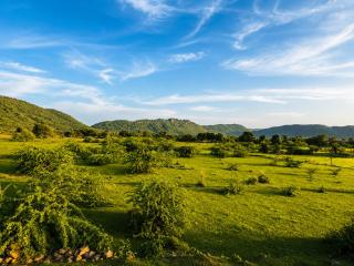 Sariska Tiger Lodge - 6