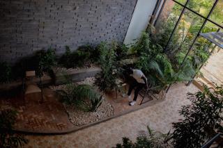 Ineza cosy studio Apartment - 6