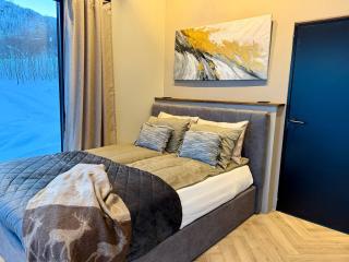 Aurora Suite - 4