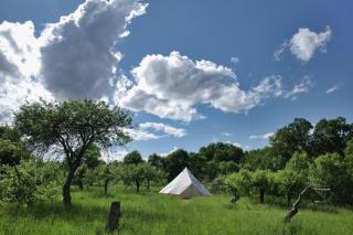 Glamping Vranov Na samotě U Včelína - 8