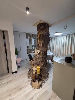 Paradisul Dunarii Hinova I - 1