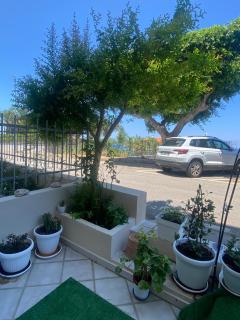 Green House - 4