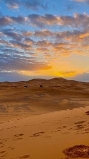 Dune Echo Desert Camp - 3
