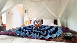 Blue Lotus Villas - 3