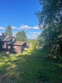 Waldhaus mit Seeblick - 4