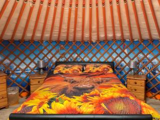 Orange Yurt - Uk48018 - 2