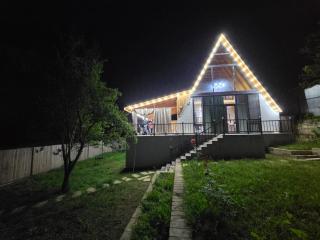 Villa ZM garden - 6