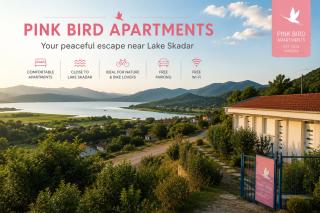 Pink bird apartments and FREE PARKING - 6